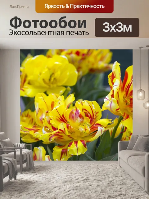 Фотообои Тюльпаны Красочные