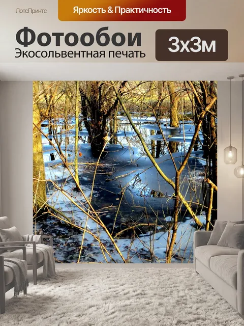 Фотообои Заболоченные Водно-болотные угодья в Сев