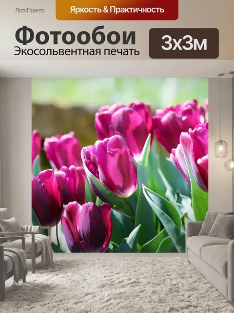 Фотообои Тюльпаны