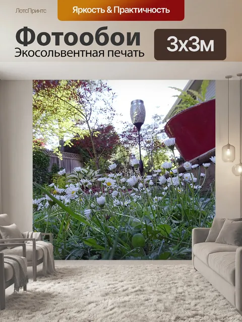 Фотообои Маленькие белые цветы