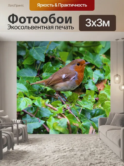 Фотообои Встреча с малиновкой