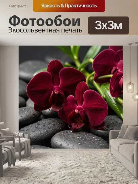 Фотообои Бордовые орхидеи на камнях