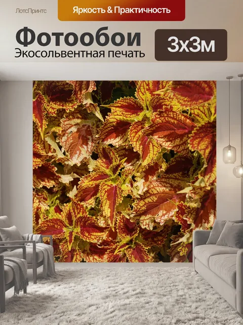 Фотообои Листья