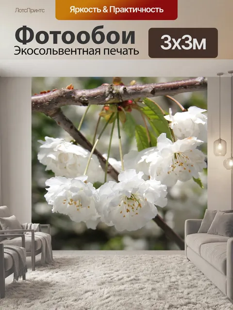 Фотообои Цветение вишни