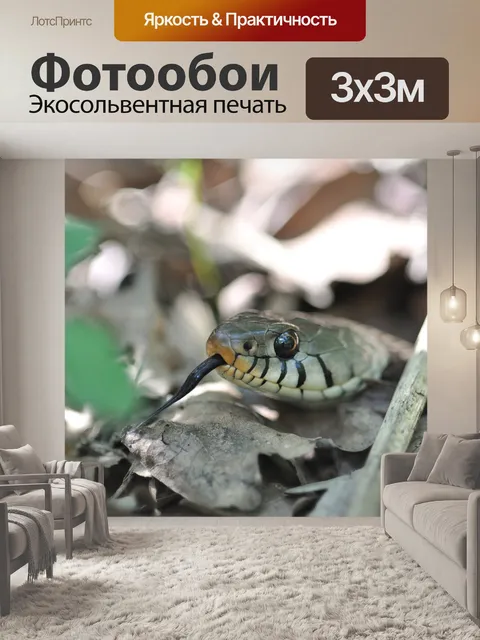 Фотообои Линия