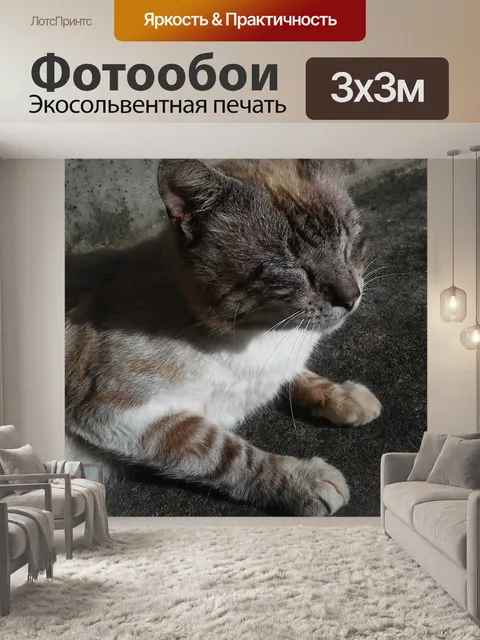 Фотообои Кошка