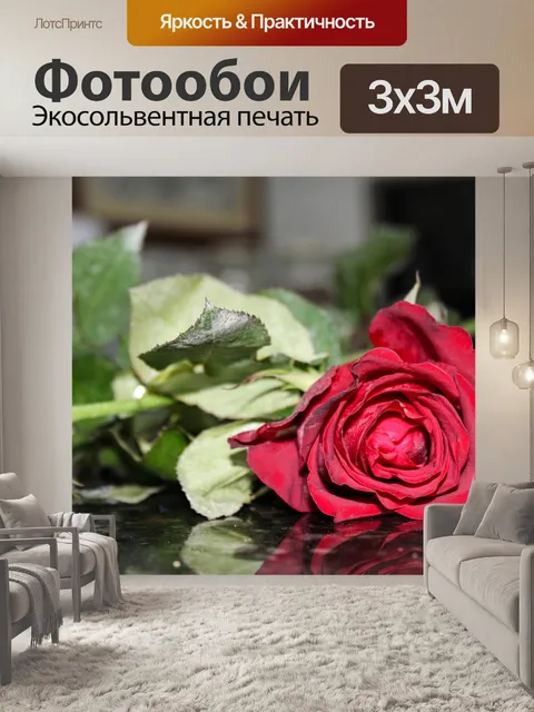 Фотообои Розы