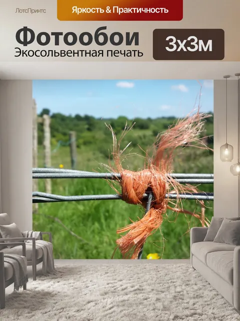 Фотообои Поле граница