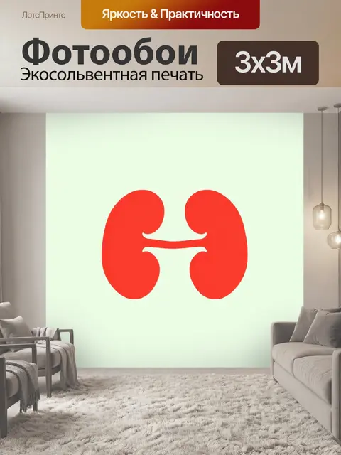 Фотообои абстрактная композиция, основанная на форме почки, выполненная в стиле минимализма