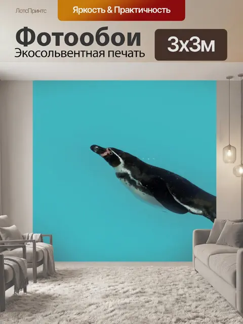 Фотообои Пингвин водолазный зоопарк