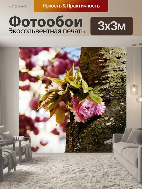 Фотообои Вишни в цвету