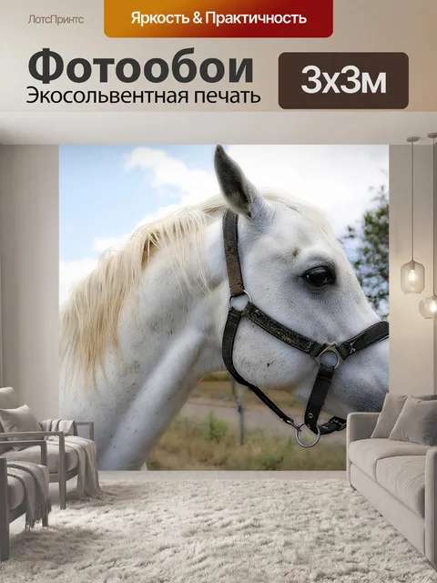 Фотообои Лошадь