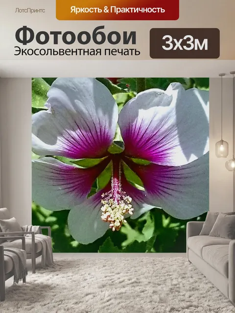 Фотообои Сад Цветочный фон