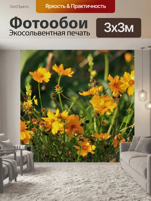 Фотообои ярко-желтые маргаритки