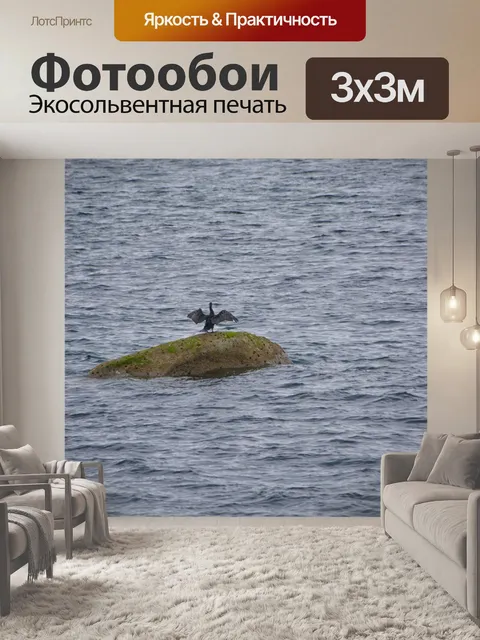 Фотообои Баклан на скалах