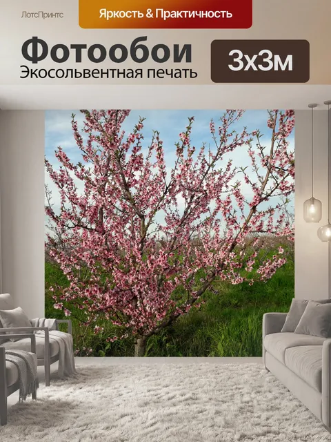 Фотообои Цветущий