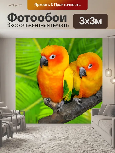 Фотообои Птицы