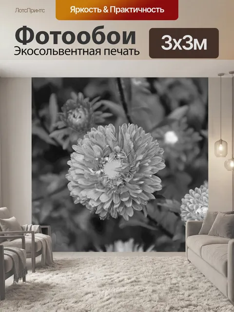 Фотообои Цветок