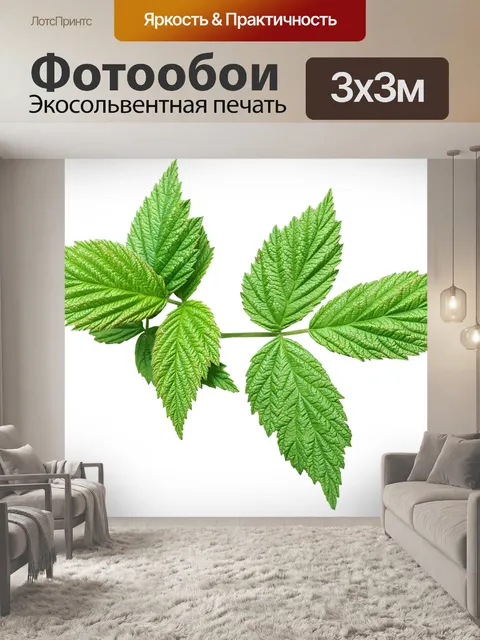 Фотообои Листья