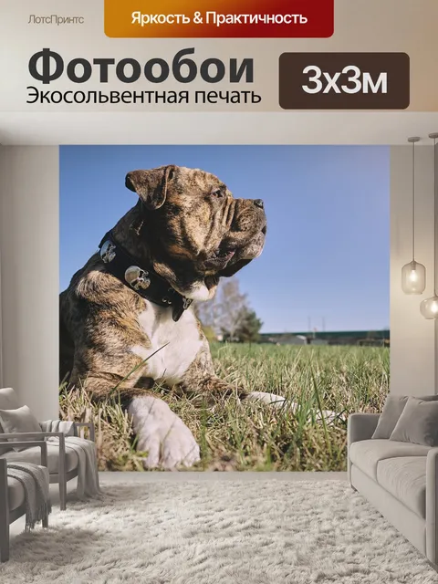 Фотообои Солнце