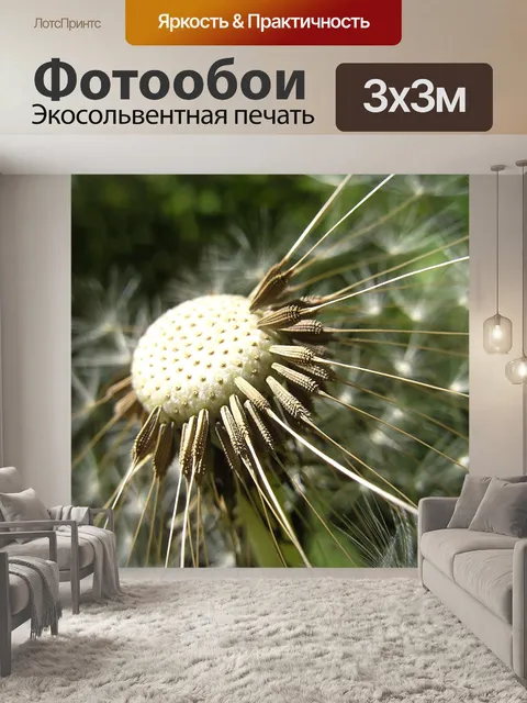 Фотообои Одуванчик