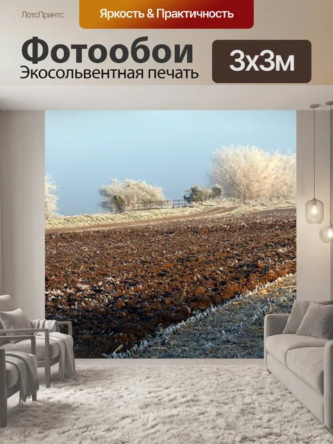 Фотообои Зима