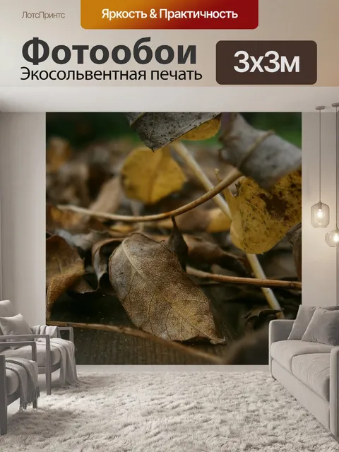Фотообои Падение