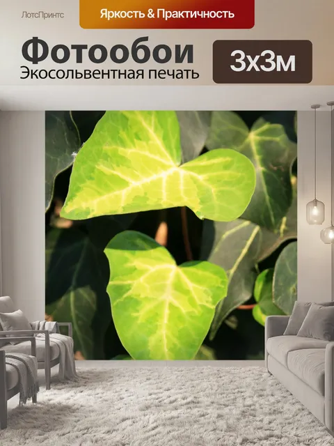 Фотообои яркие листьев плюща