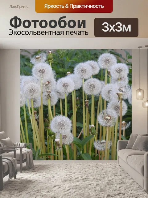 Фотообои Осот огородный