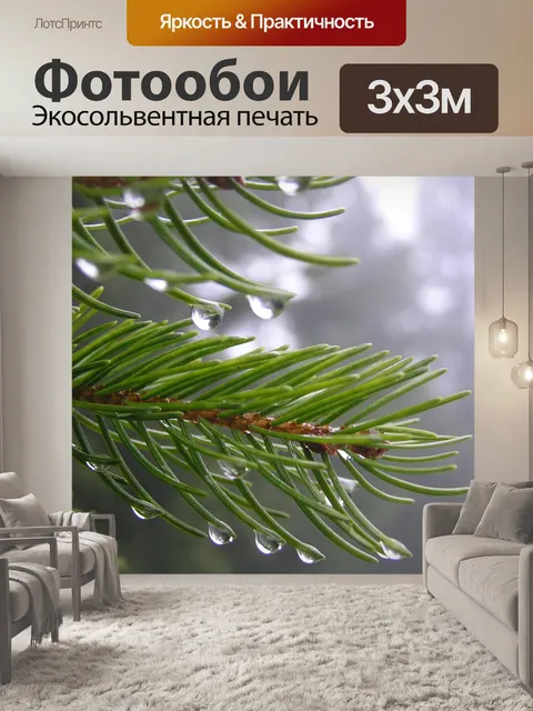 Фотообои Ель