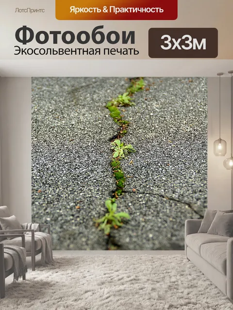 Фотообои Асфальт