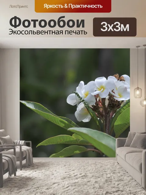 Фотообои Белые цветы