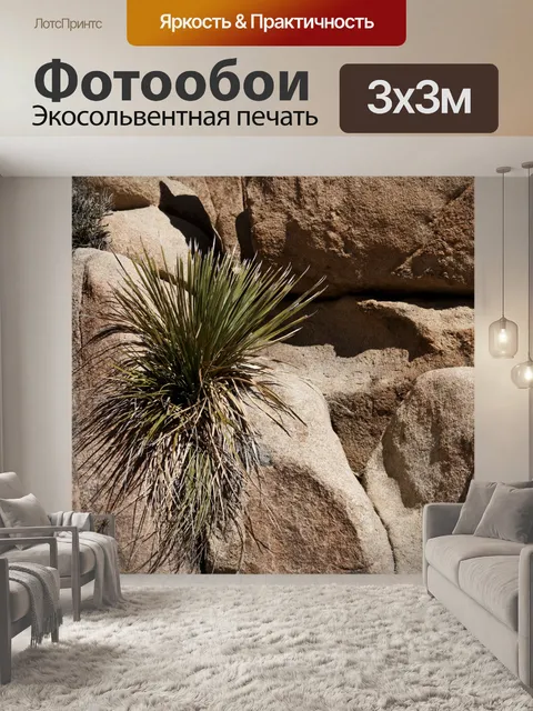 Фотообои Национальный памятник Джошуа Три