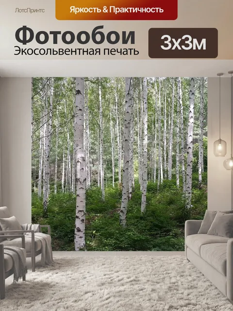 Фотообои Береза