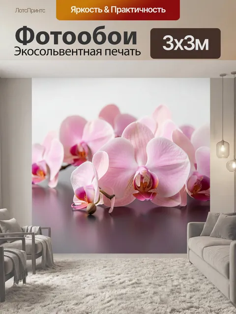 Фотообои Розовые орхидеи на темном фоне