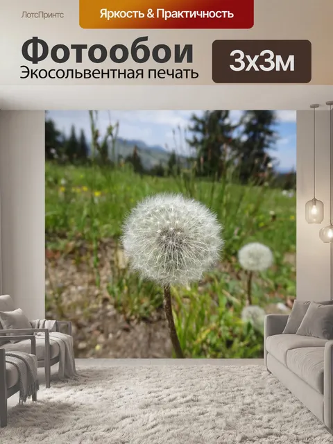 Фотообои Одуванчик