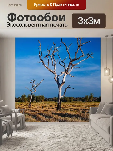 Фотообои Мертвое дерево, силуэт дерева