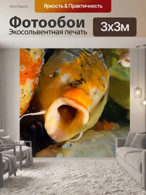 Фотообои Кои