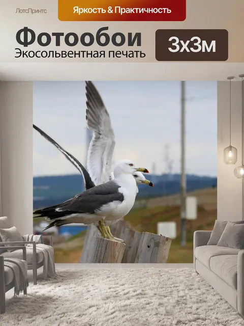 Фотообои Животное