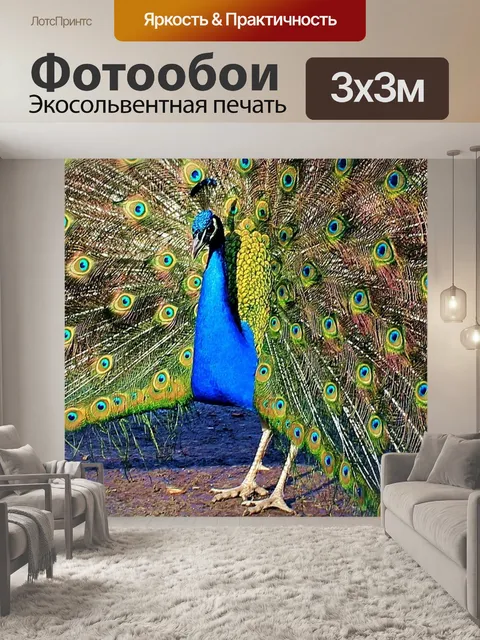 Фотообои Павлин