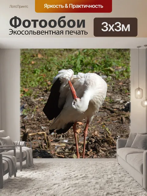Фотообои Аист 7