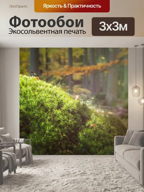 Фотообои Лес