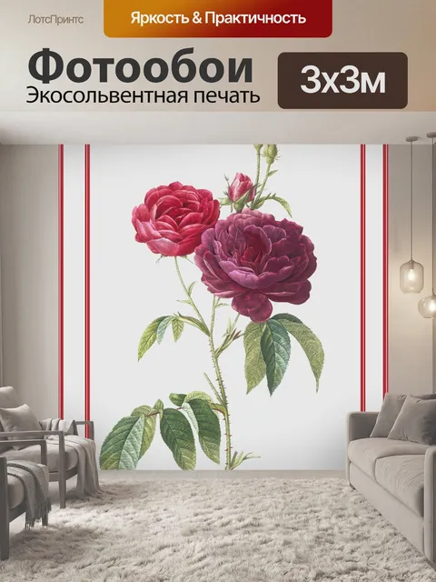 Фотообои Винтажная иллюстрация французской розы
