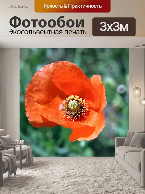 Фотообои Природа