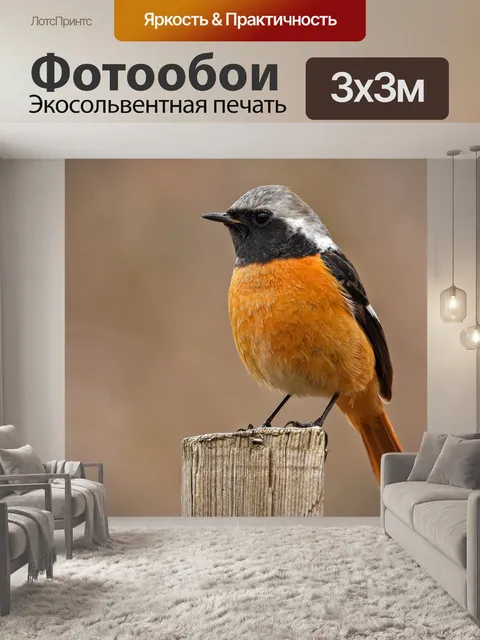 Фотообои Птица