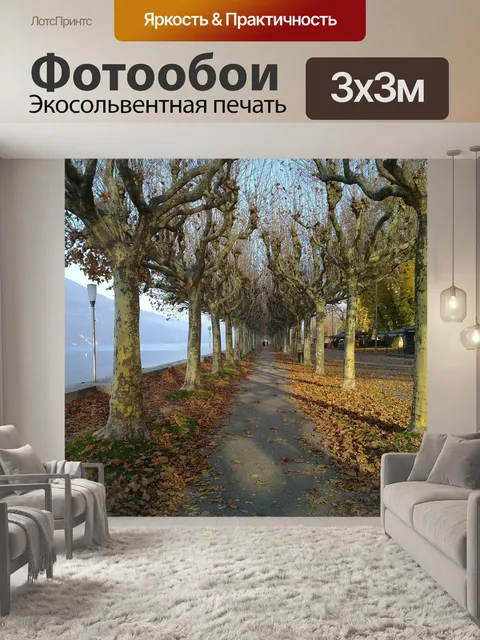 Фотообои Путь