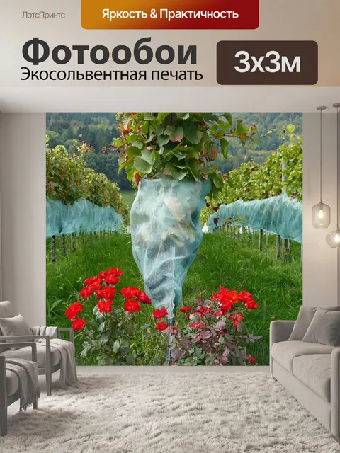 Фотообои Розы
