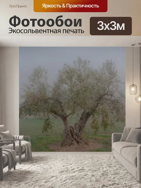 Фотообои Оливковый