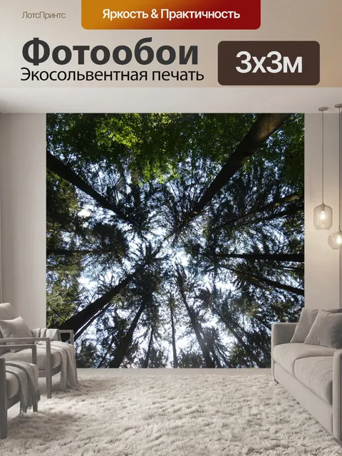 Фотообои Лес