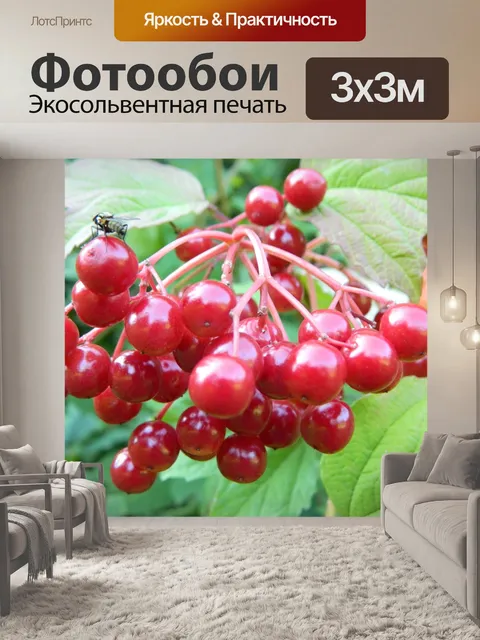 Фотообои Лес